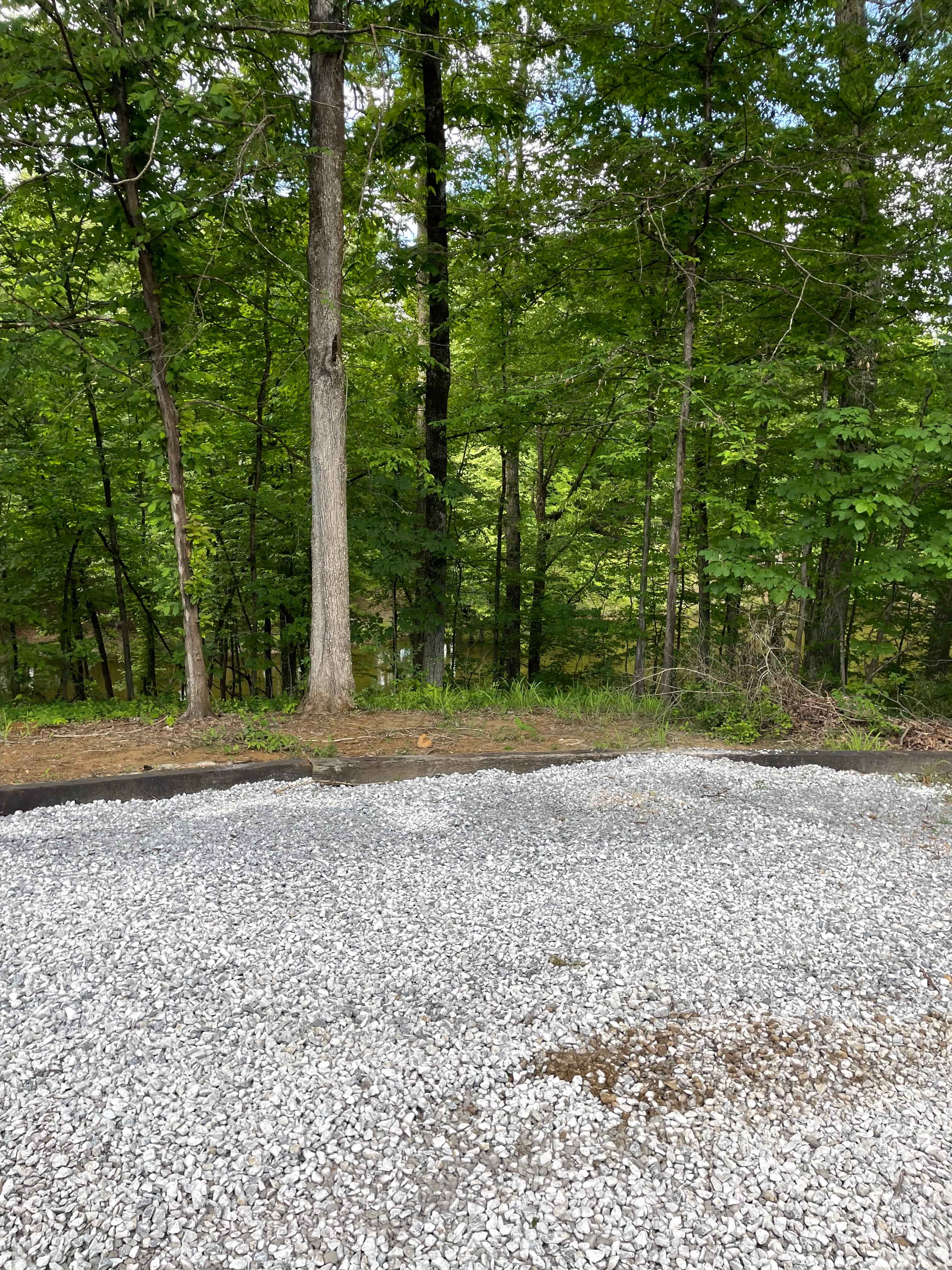 Secluded Fishing Cove