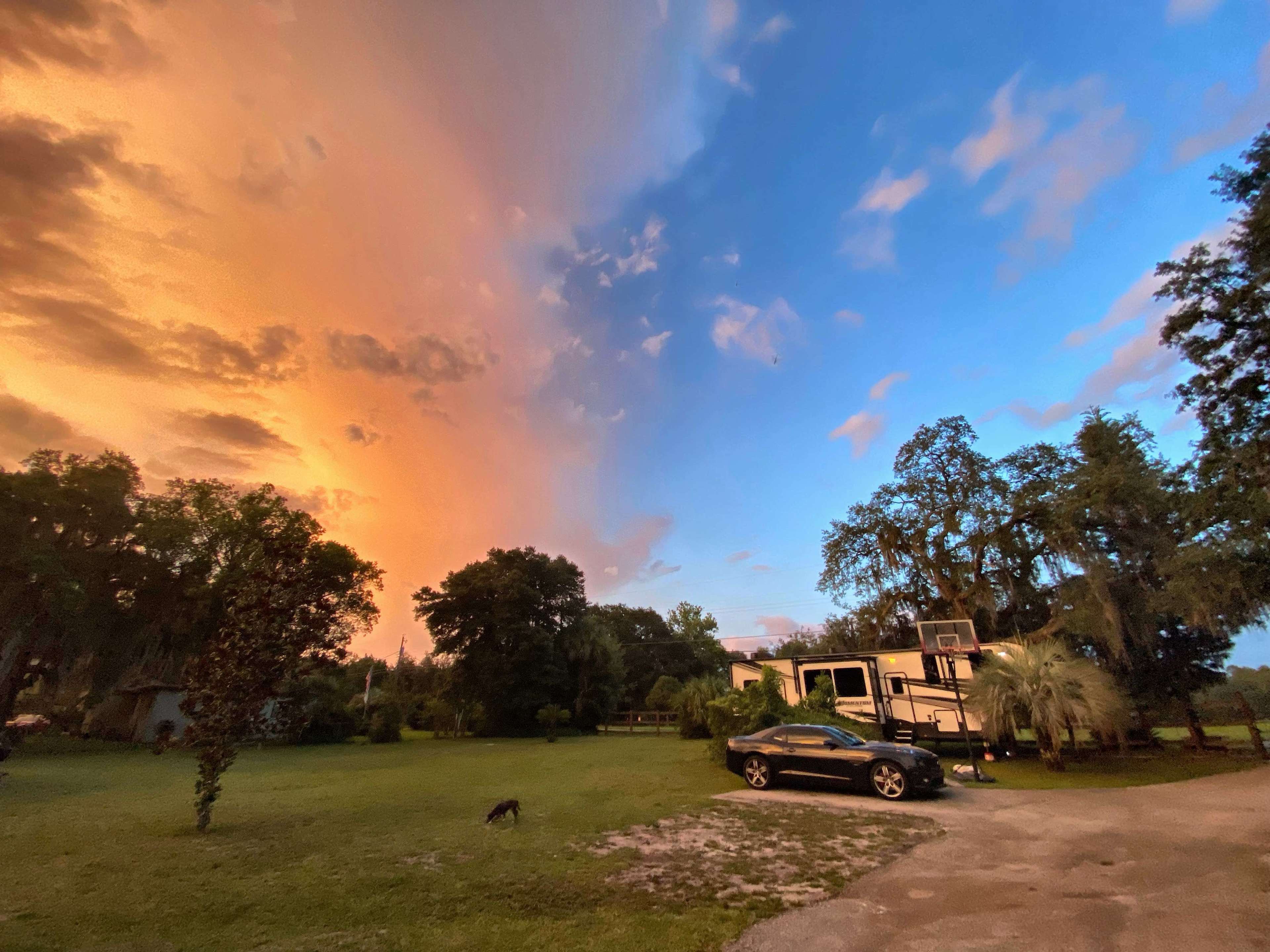 Lovely Acres Of East Orlando