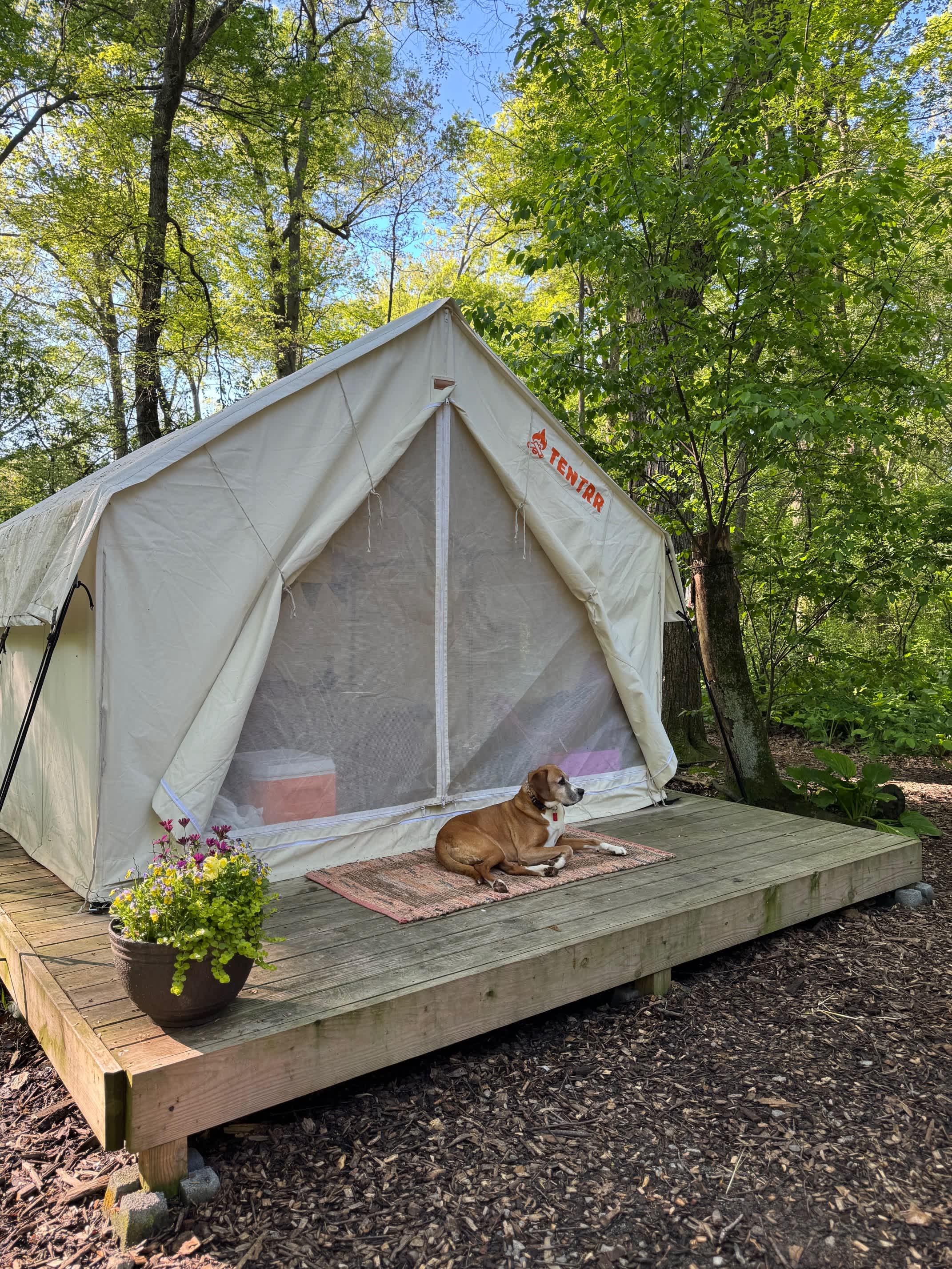 Conowingo Creek Campsite