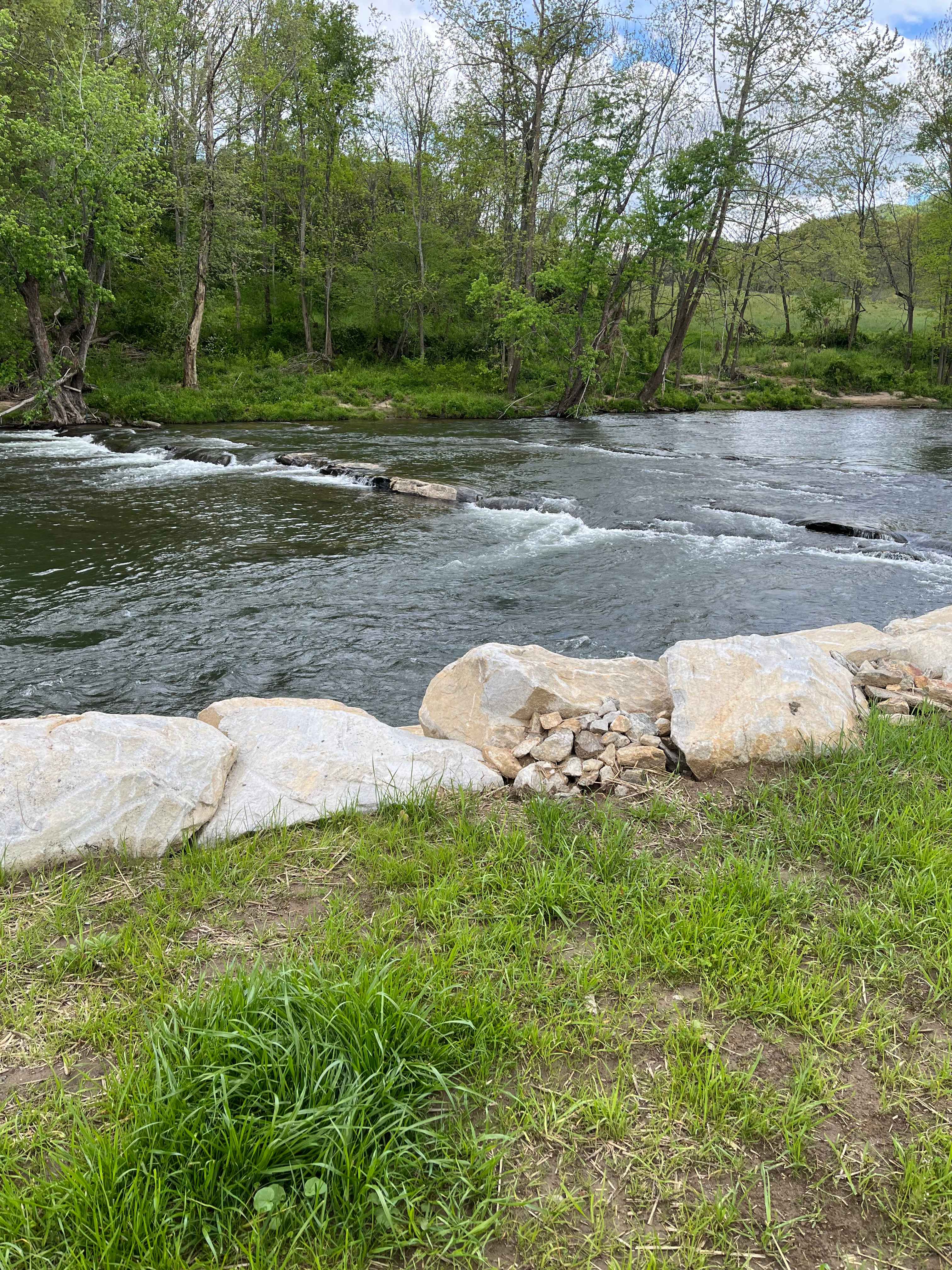 Smoky Mtn Mangalitsa River Ranch