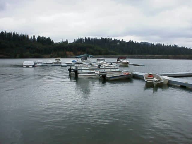 Orchard Springs Resort