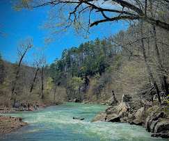 Turner Bend Store Cabins & Campgrounds