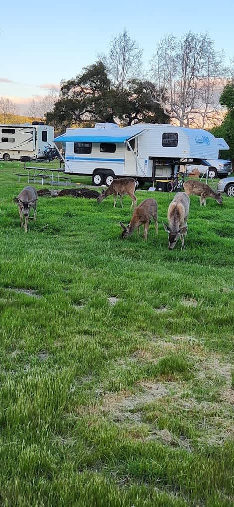 San Benito RV and Camping Resort