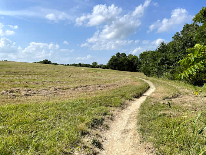Erwin Park