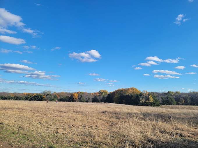 Erwin Park