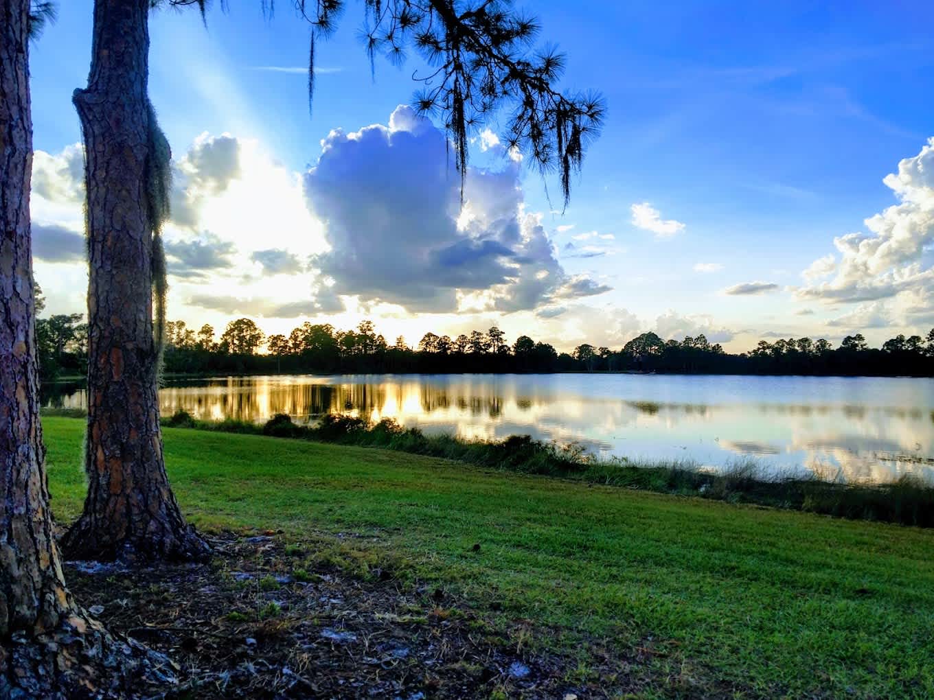 Reflections on Silver Lake