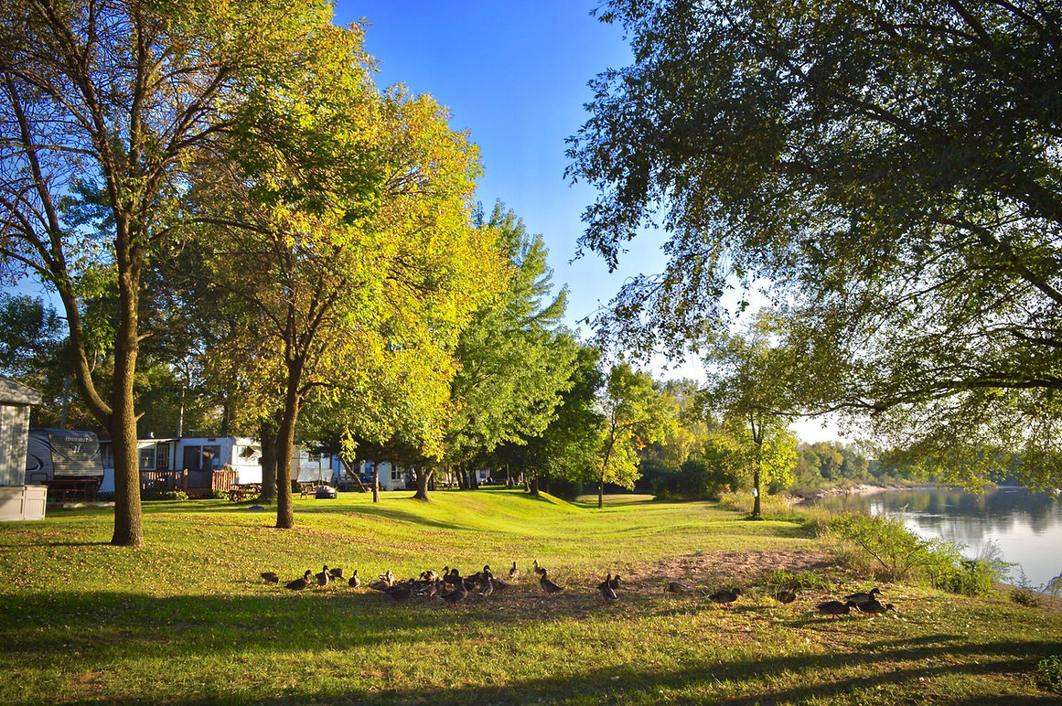 Buddy's River Resort