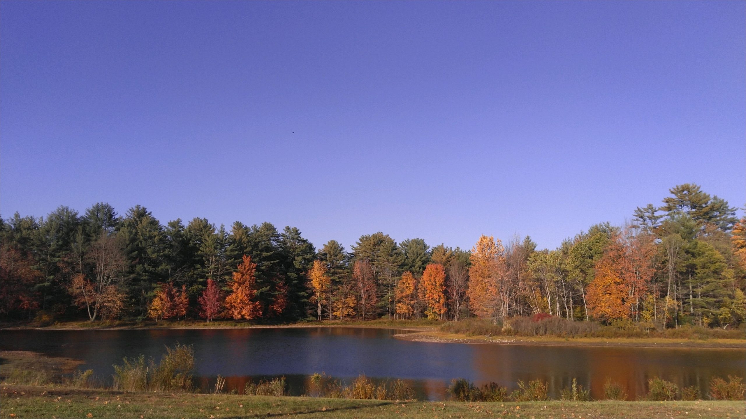 Half Mile Ranch RV & Camping Resort