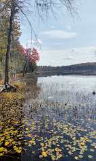 Newcomb Cafe and Campground