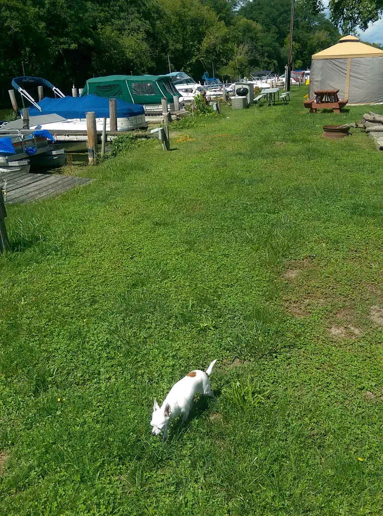 Montour Falls Municipal Marina & Campground