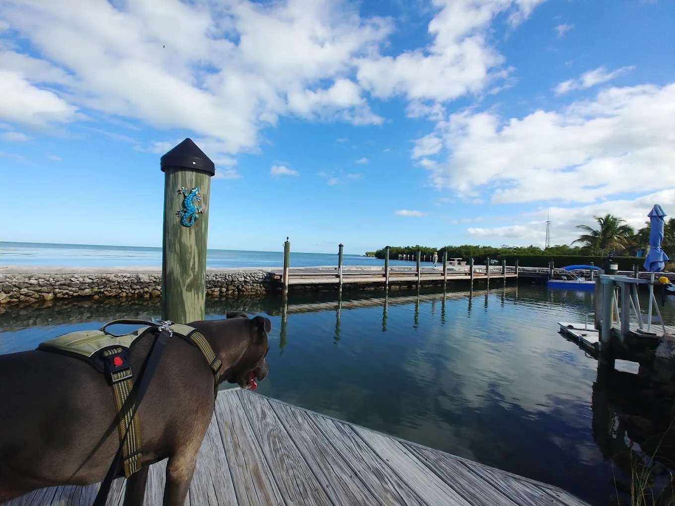 Grassy Key RV Park And Resort