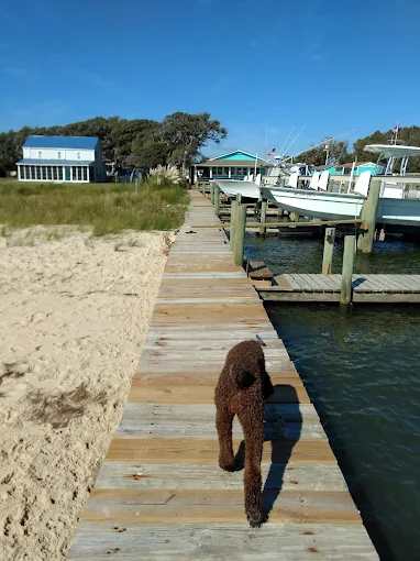 Cape Pointe Marina