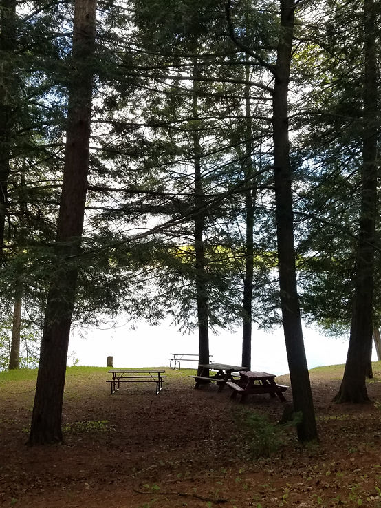 Holt Park