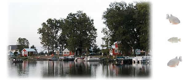 Moon Lake Resort