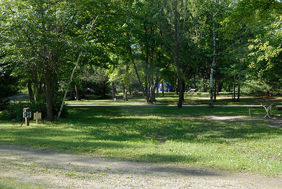 Bass Lake Campground