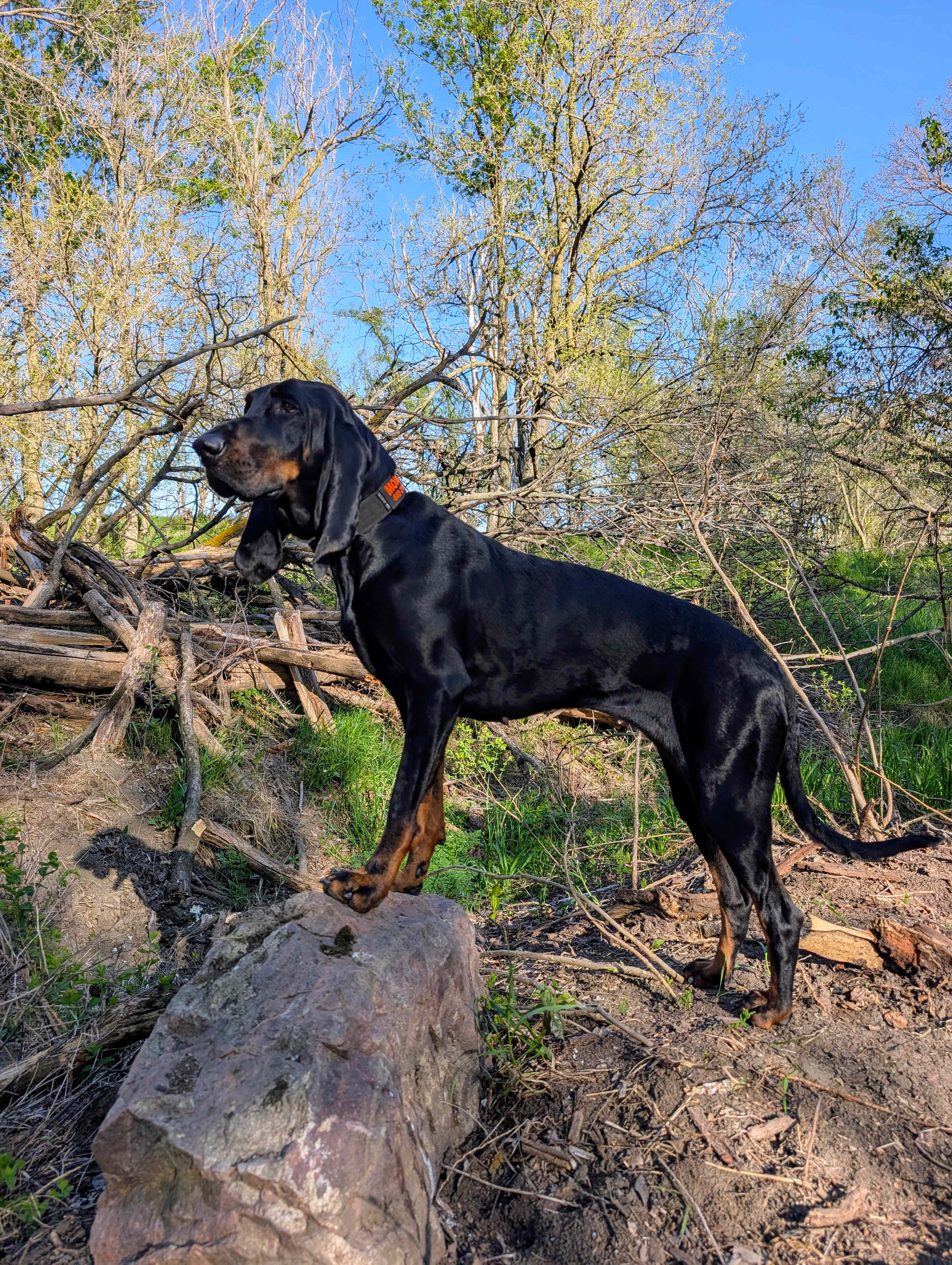 Great private hiking