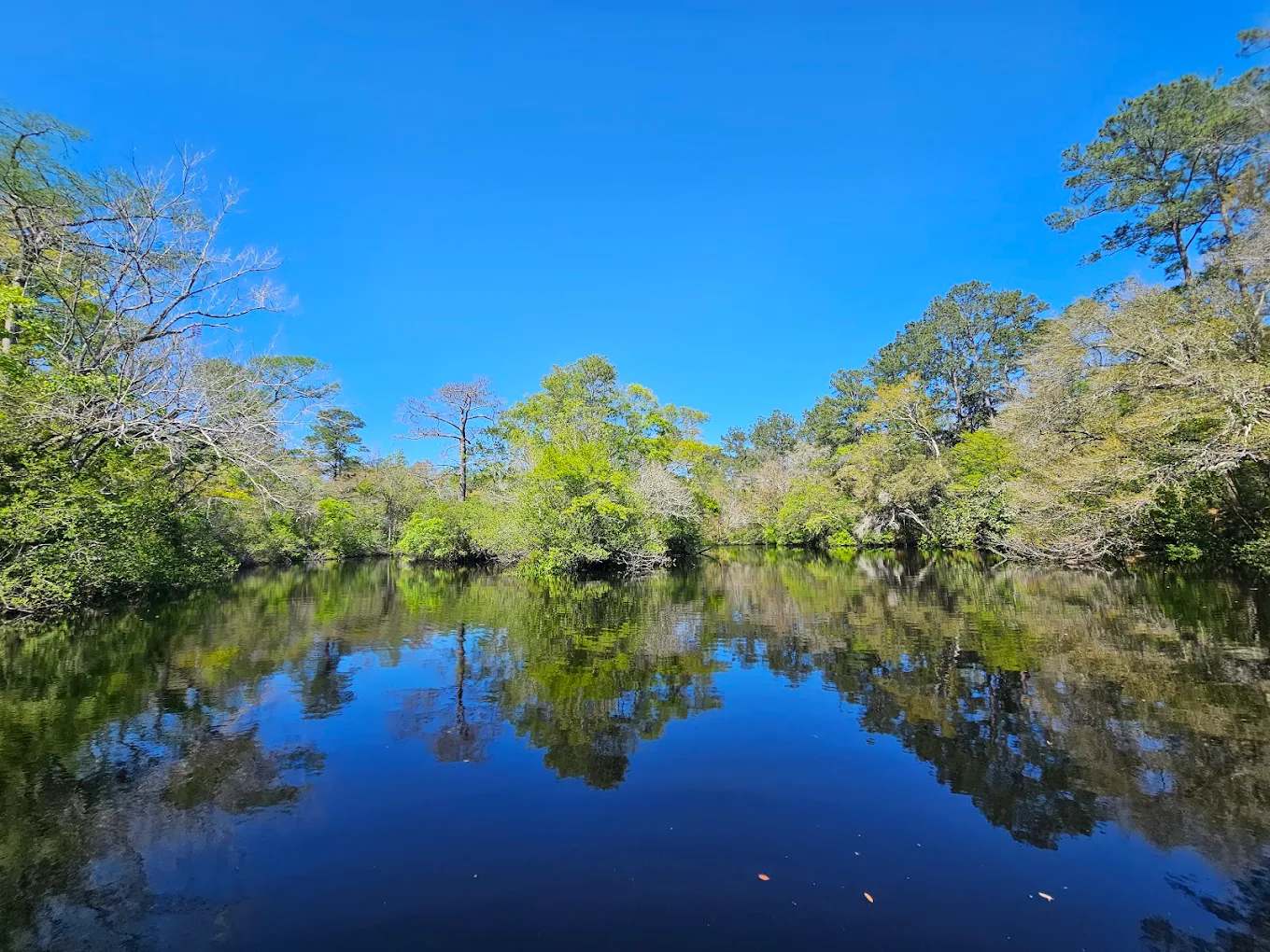 Myron B Hodge City Park