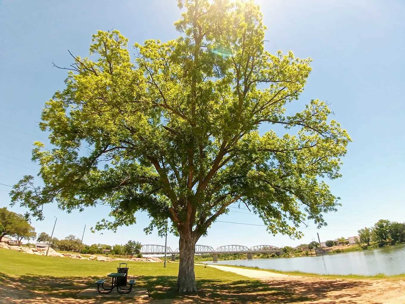 Badu Park