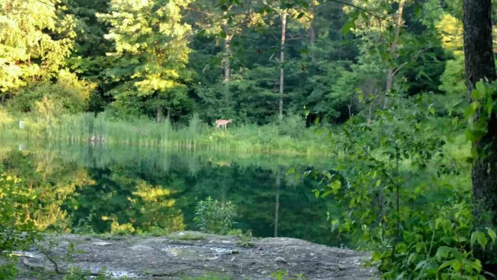 Leisure Lake Campground