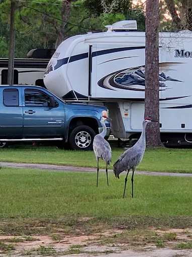 Camp Inn Resorts