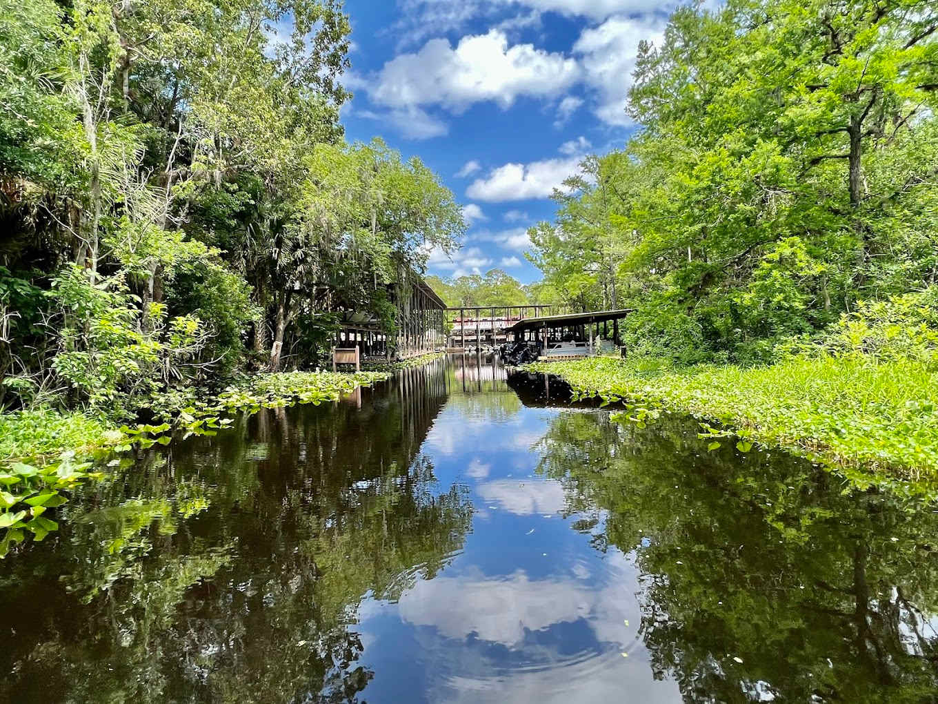 Highland Park Fish Camp
