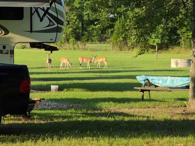 Lake Athens Marina and RV Park