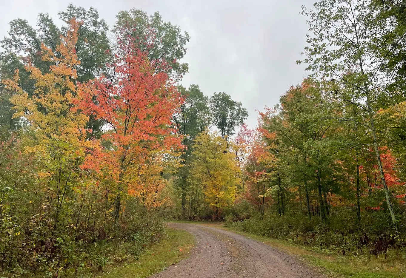 Saint Croix Pines Campgrond
