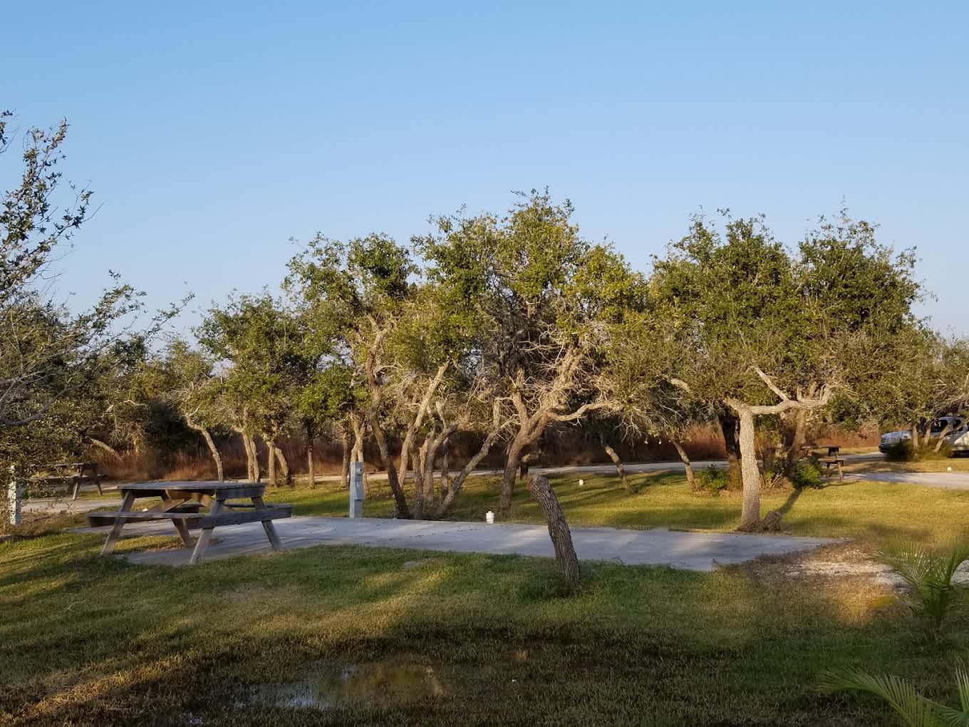 Enchanted Oaks RV Park