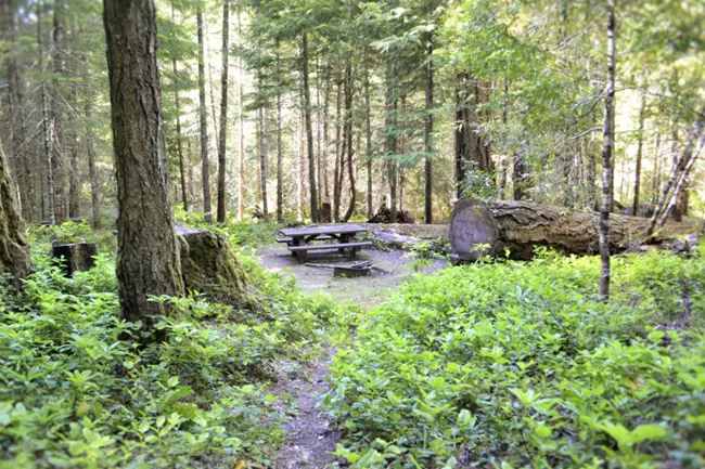 Caves Creek Campground