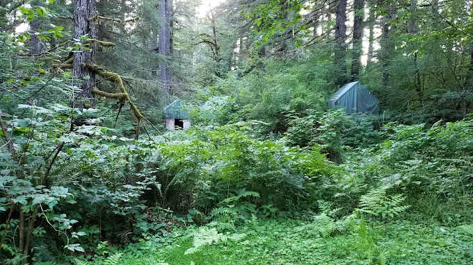 Camp Cooper