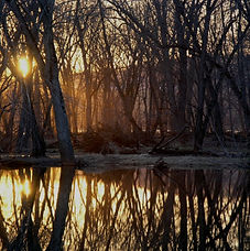 Woodman Lake Cabins & RV