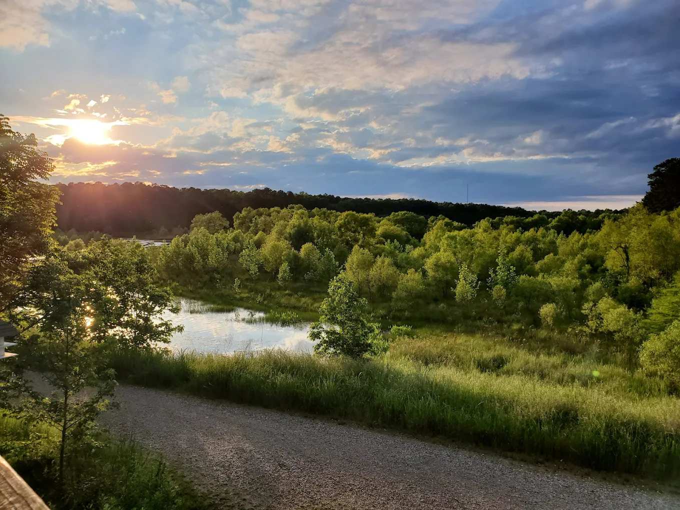 Sandy Bottom Nature Park