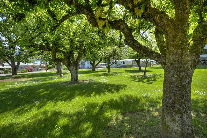 Dexter Shores RV Park
