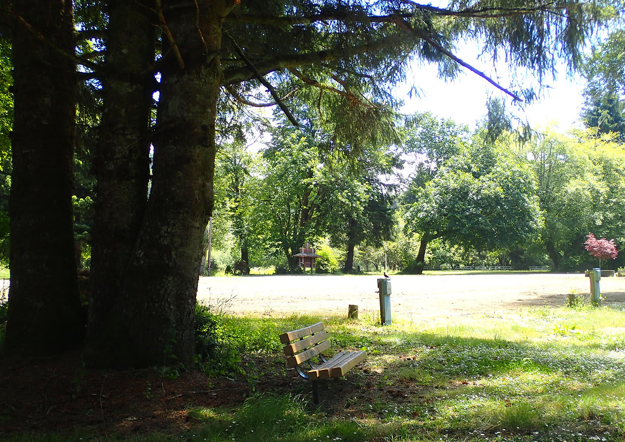 Wapiti RV Park