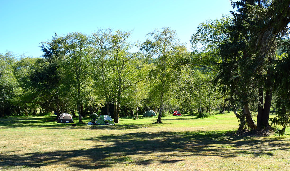 Wapiti RV Park
