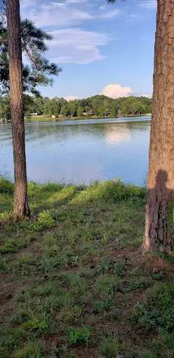 Brushy Branch Campground