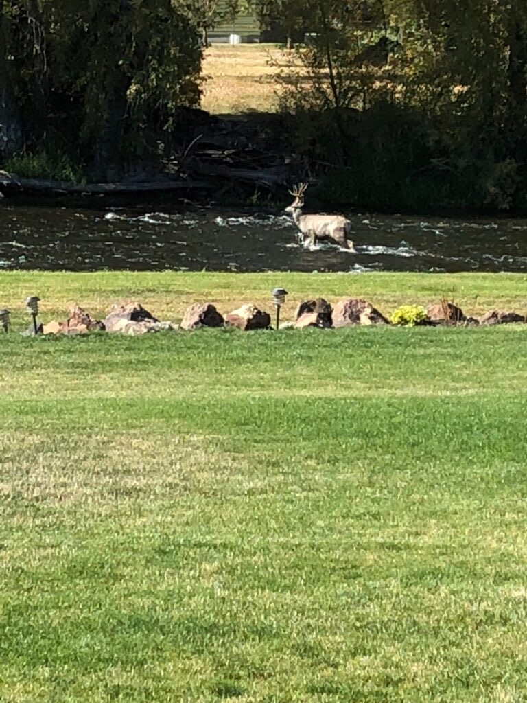 Wallowa River RV Park