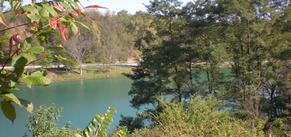 Friendship Park