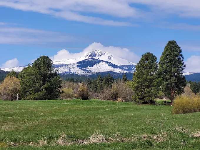 Cold Springs Resort and RV Park