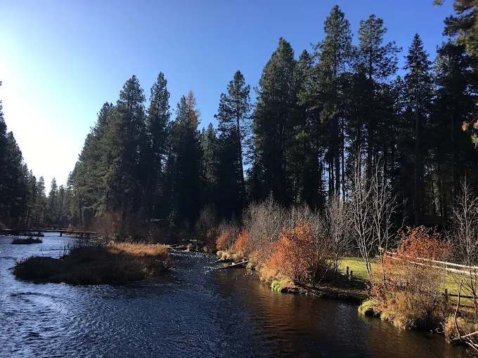 Cold Springs Resort and RV Park