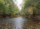 Bull Run Campground