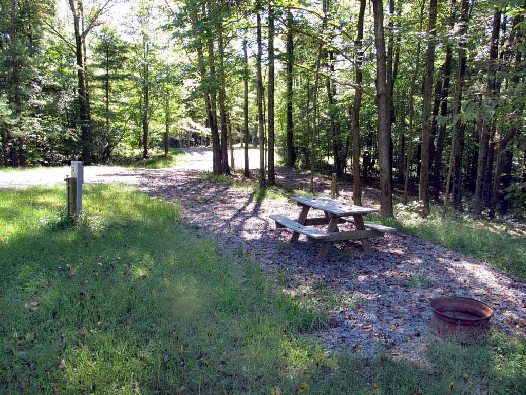 Camp Tuscazoar Foundation Inc