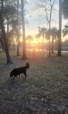 Blythe Island Regional Park