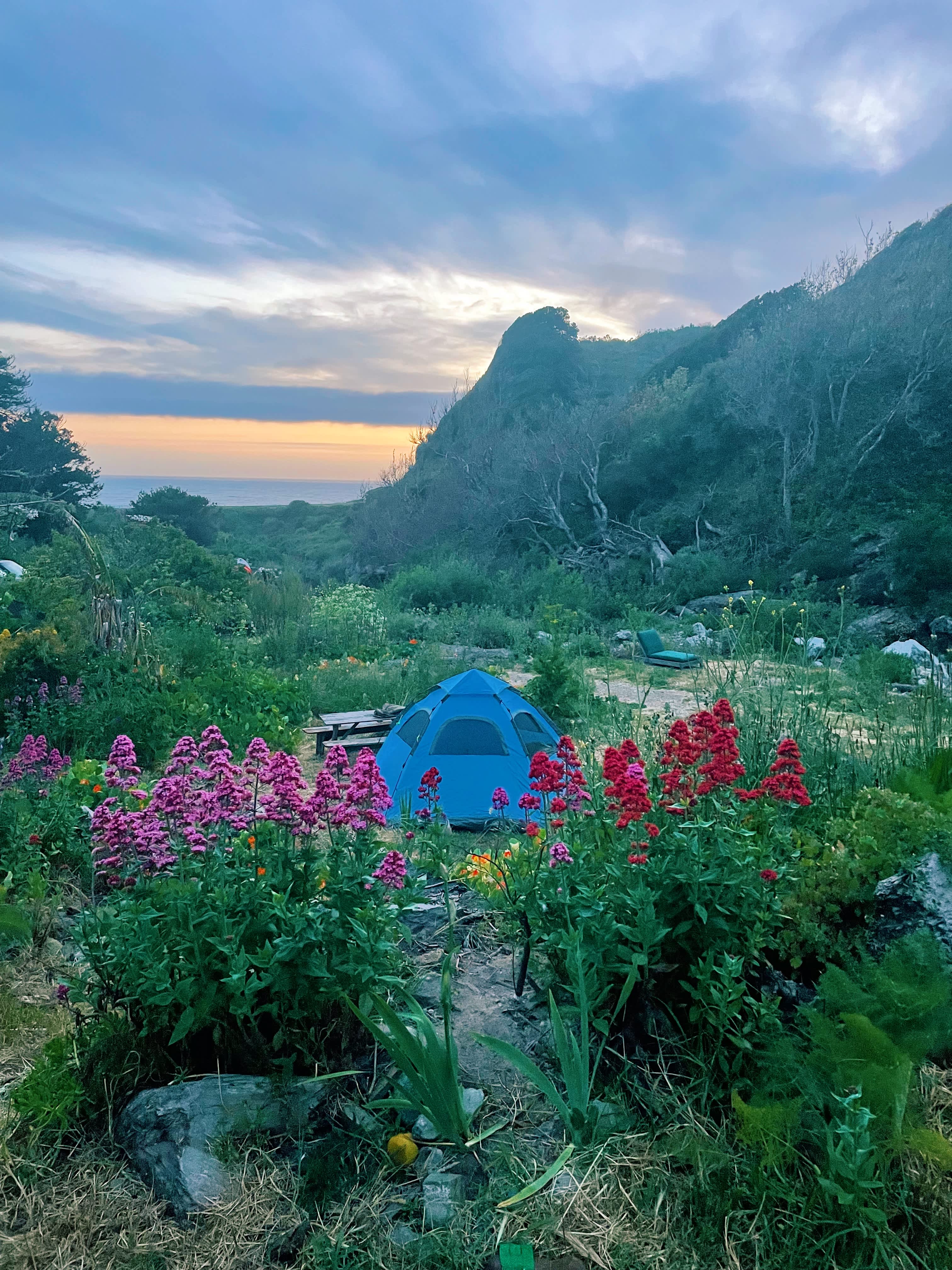 dabudage Big Sur