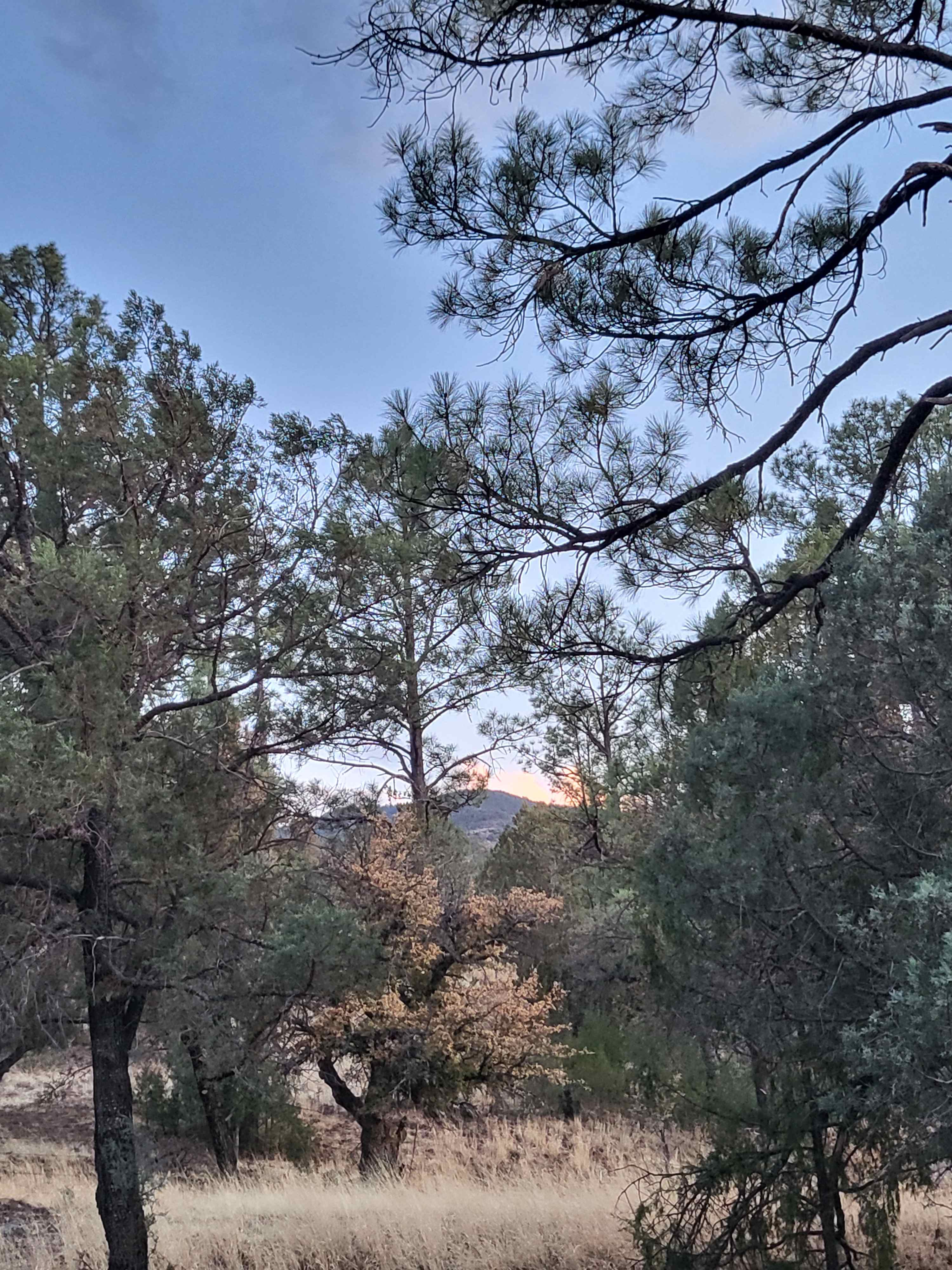Casita on Sapillo Creek Escape