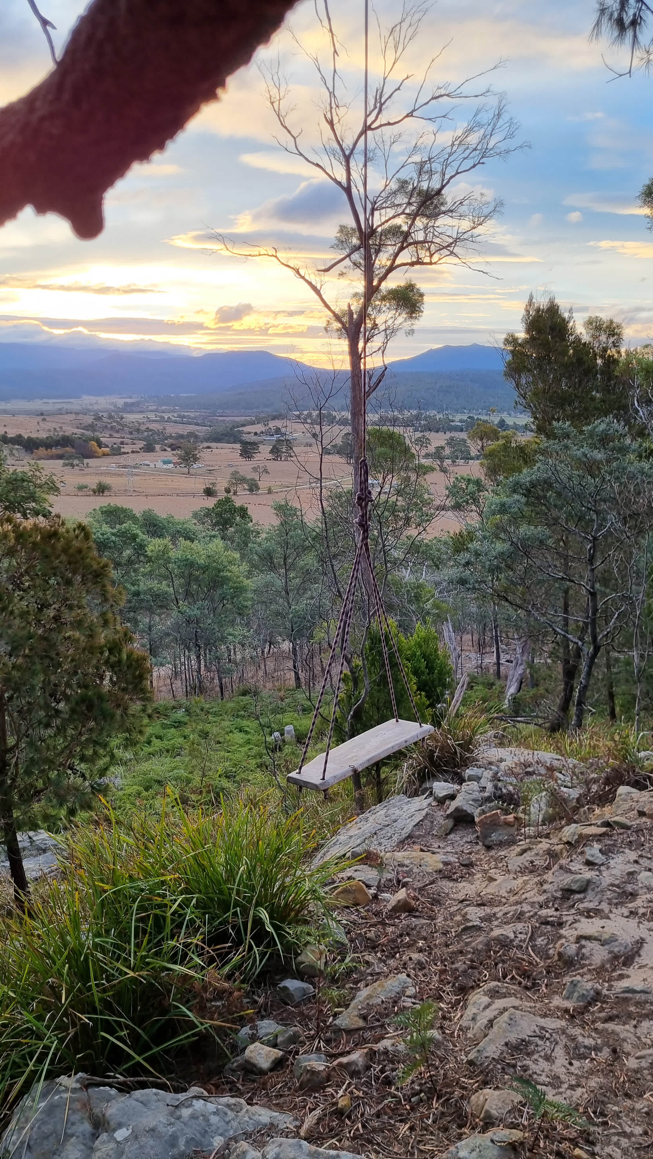 Valley's Nest