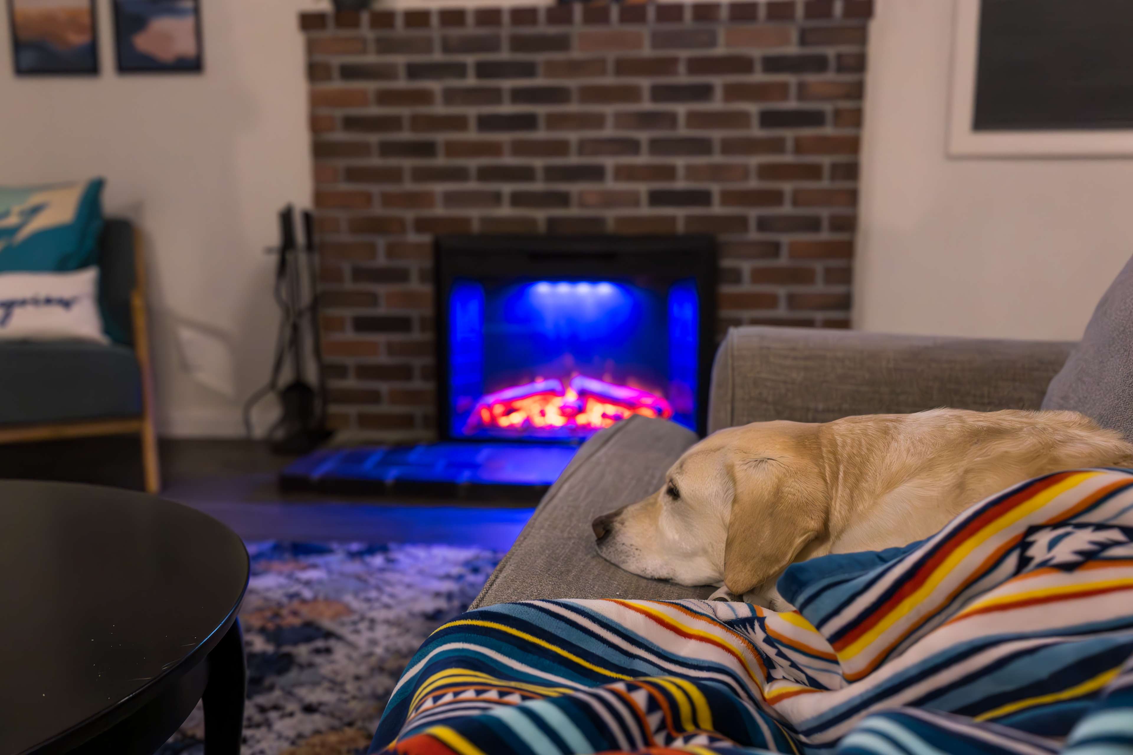 Weston fully embraced the cozy cabin life. Fireplace naps and all the snuggles.