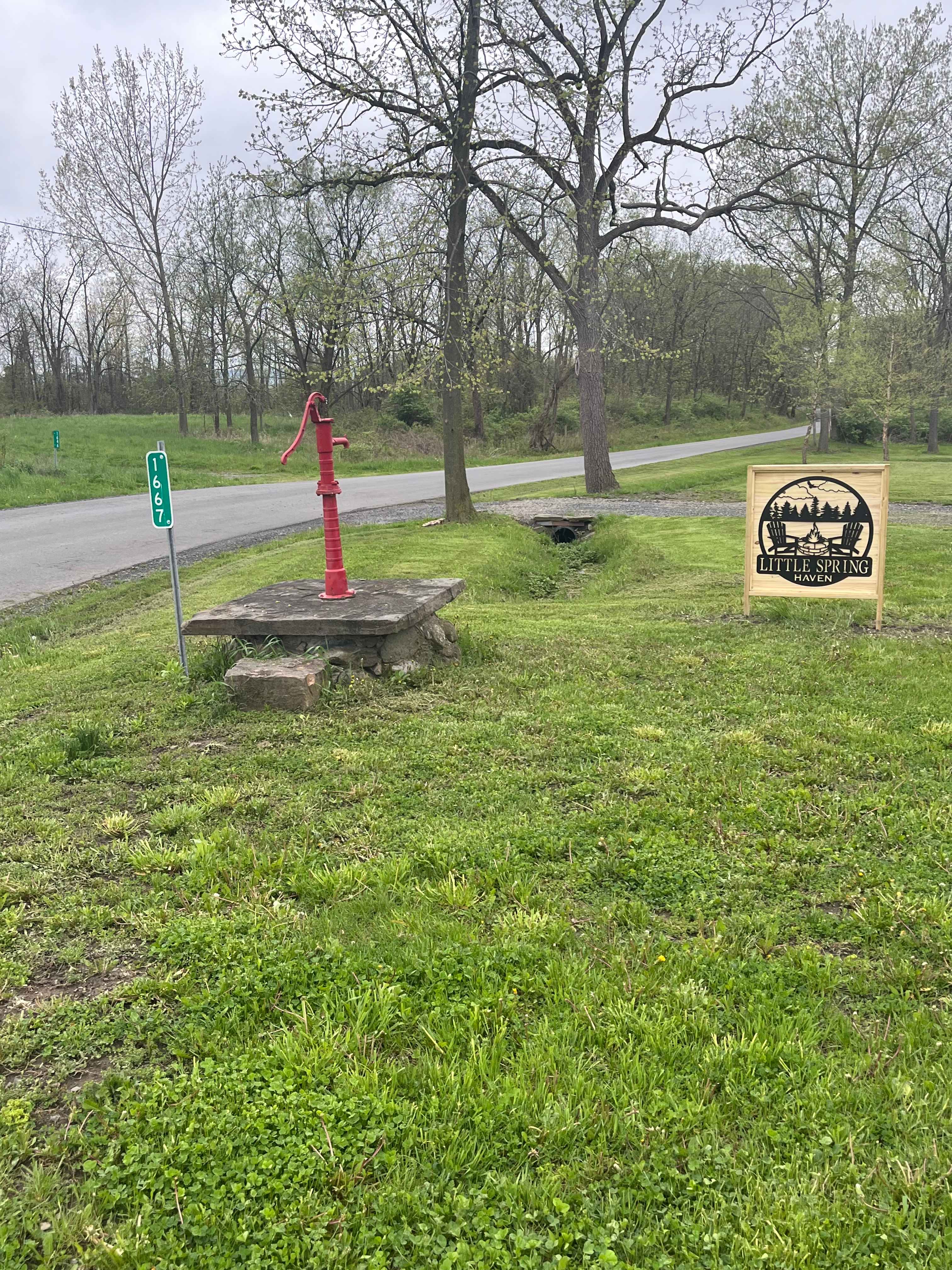 Picture of the site