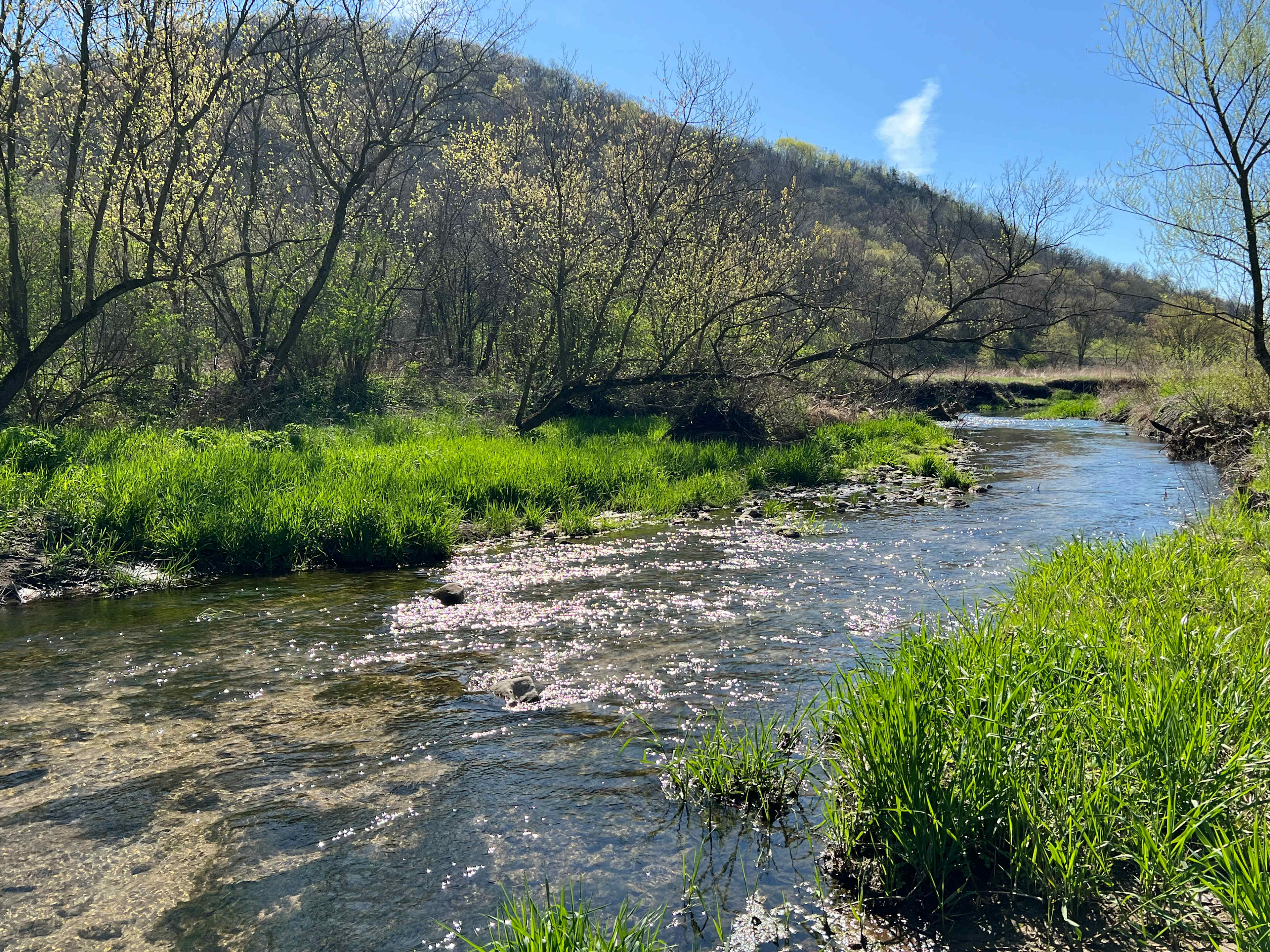 New Hartford trout camp