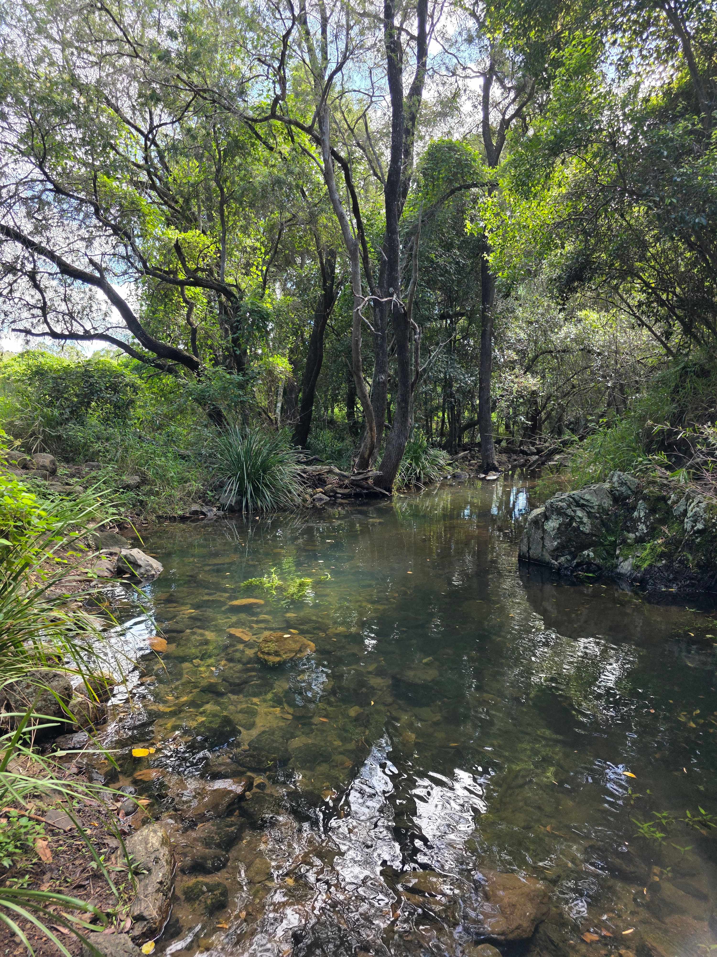 Hopevale Adventure Camping